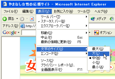 インターネットエクスプローラー