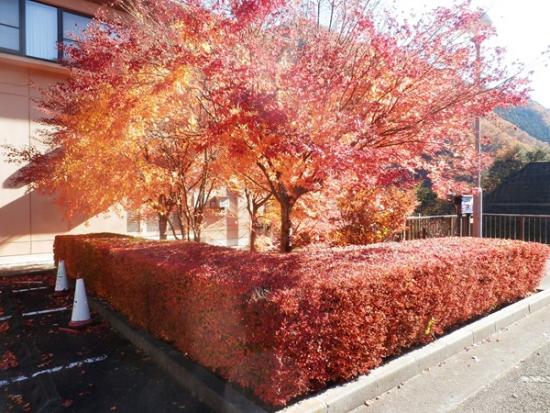 令和6年11月21日の深城ダム4