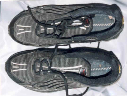 灰色運動靴ナイキ（27,5cm）