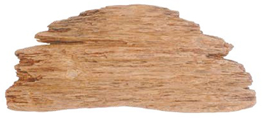 笠形木製品（上面）