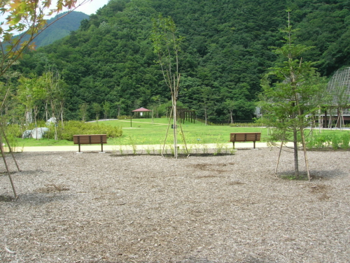 小金沢公園2