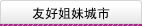 友好姐妹城市