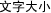 文字大小