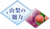 山梨の魅力