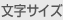 文字サイズ