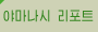 야마나시 리포트