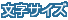 文字サイズ