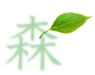 森