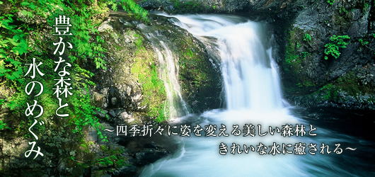 豊かな森と水のめぐみ ~四季折々に姿を変える美しい森林ときれいな水に癒される~