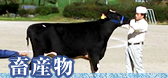 畜産物
