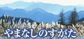 やまなしのすがた