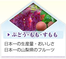 ぶどう・もも・すもも　日本一の生産量・おいしさ日本一の山梨県のフルーツ