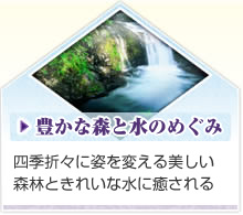 豊かな森と水のめぐみ　四季折々に姿を変える美しい森林ときれいな水に癒される