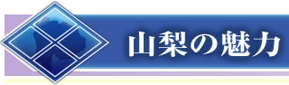 山梨の魅力
