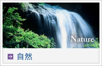 自然