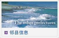 邻县信息