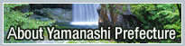 About Yamanashi Prefecture