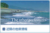 近隣の他県情報