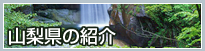 山梨県の紹介