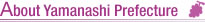About Yamanashi Prefecture