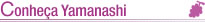 Conheça Yamanashi