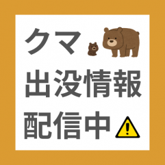 クマ出没情報