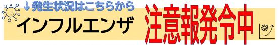 fle_chuiho