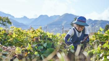 人も野菜も、想いやる。