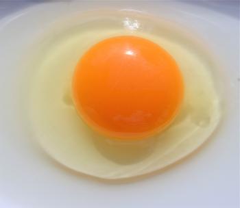 卵3