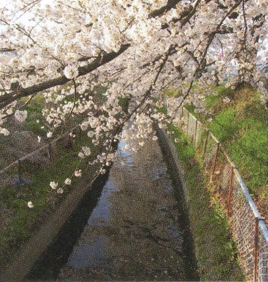 画像：徳島堰