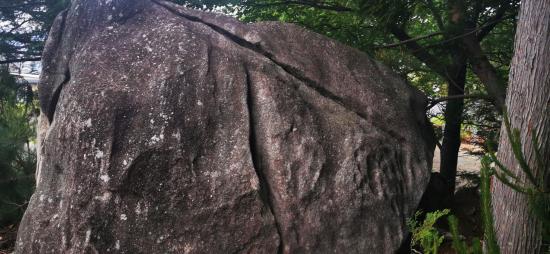 大宮神社の巨石