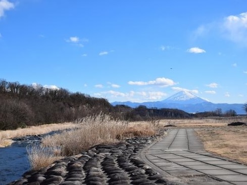 塩川ふれあい公園の眺望写真