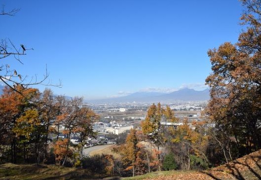 曽根丘陵公園の眺望写真