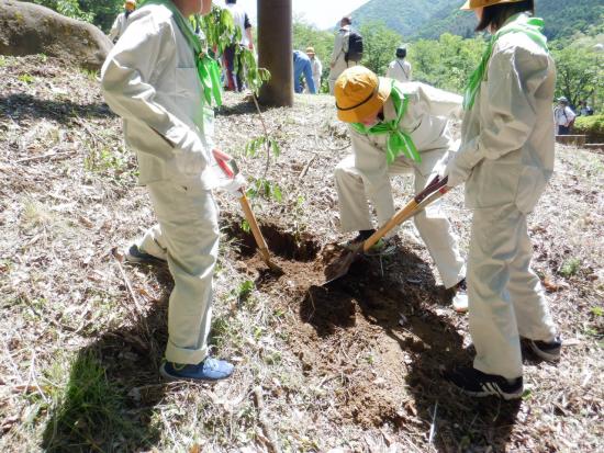 R6県民緑化まつり写真２