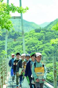 早川町山村