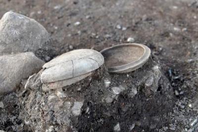 2021年の発掘で発見された古墳時代（1,500年前頃）の土器