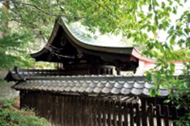 山梨岡神社本殿