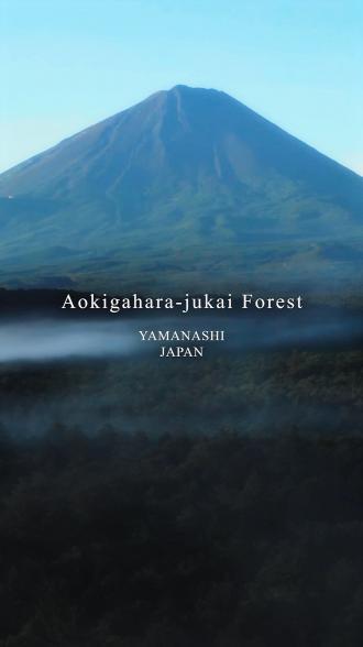 jyukai