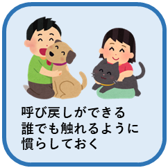 迷子にさせない飼い方画像