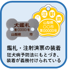 迷子にさせない飼い方画像