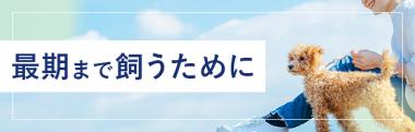 最期まで飼うために