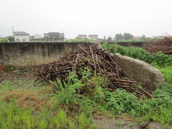 bassaiboku1_716