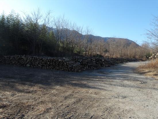 R7.12鳳来橋上流