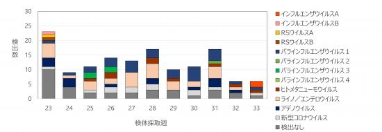 急性呼吸器感染症病原体検出状況33w
