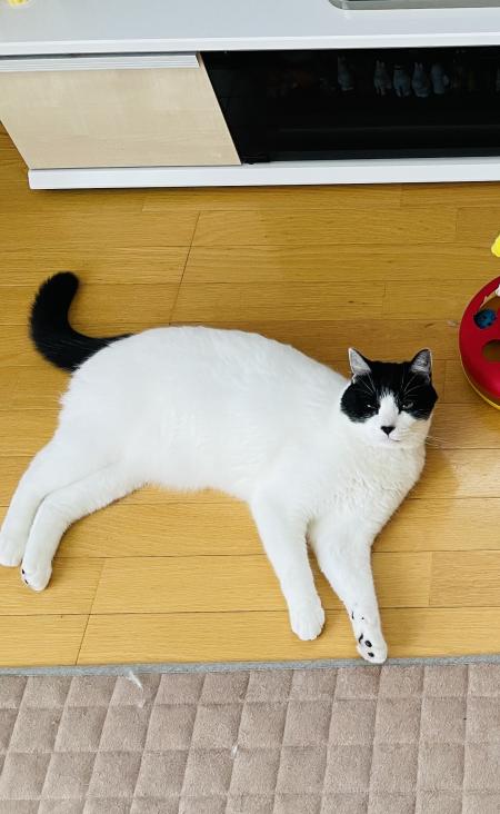 ロキ４