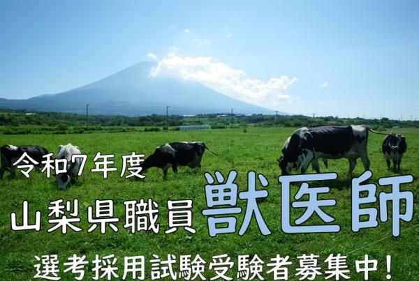R7獣医師選考採用試験案内（第2回）