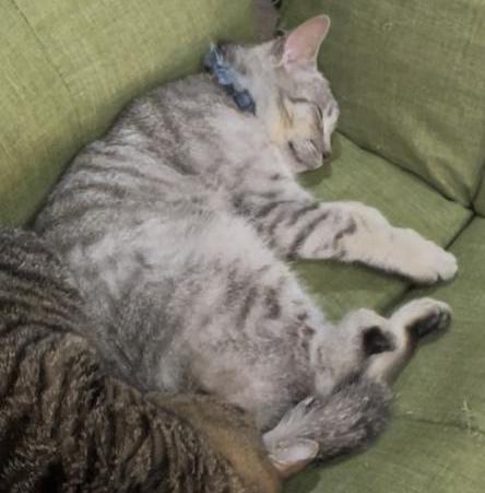 76