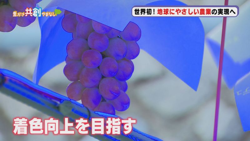 20250818_04