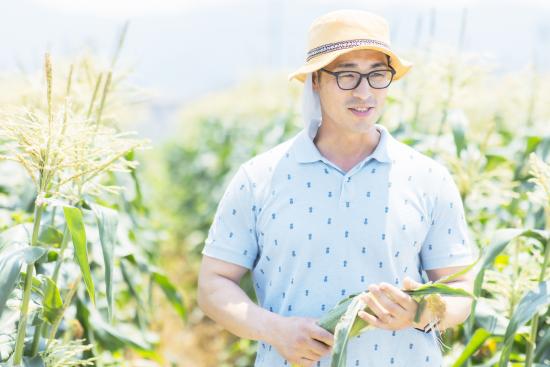 Sweetcorn1_05-2