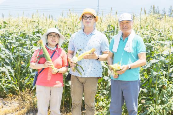 Sweetcorn2_05-2